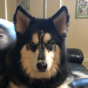 Meet your Posher, Nancy